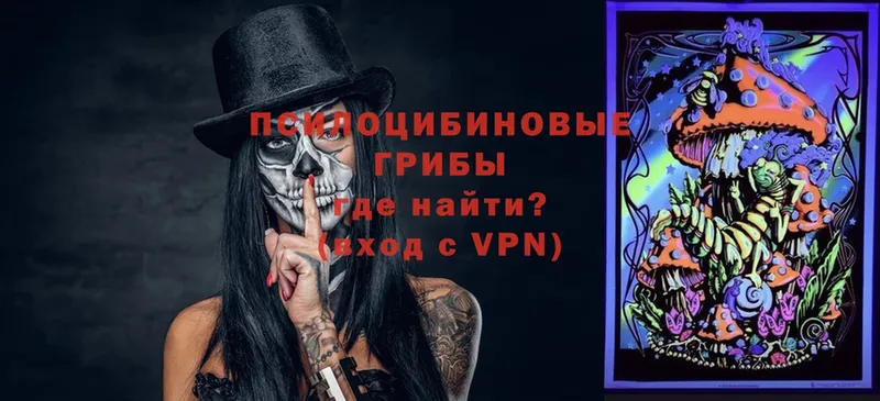 Галлюциногенные грибы мицелий  OMG вход  Красный Холм 