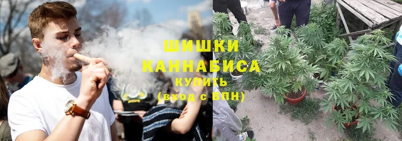 Конопля Ganja  Красный Холм 